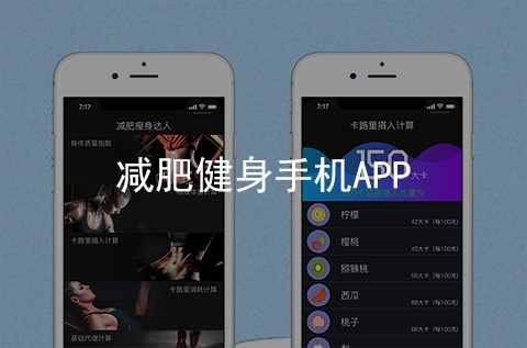 減肥健身APP開發(fā)案例（河北APP制作案例）