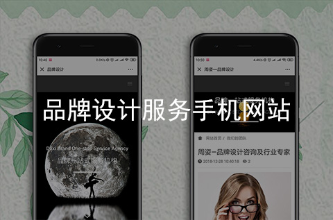 品牌設(shè)計服務(wù)手機網(wǎng)站制作案例