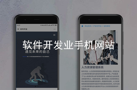 軟件開發(fā)企業(yè)手機網(wǎng)站制作案例