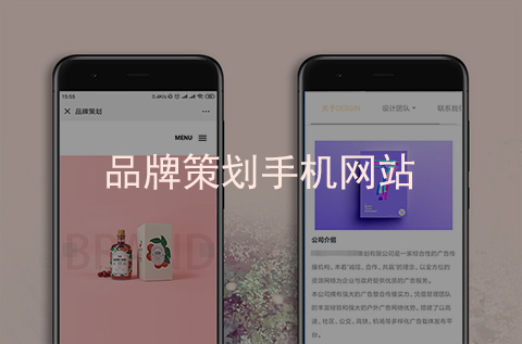 品牌策劃手機網(wǎng)站建設案例