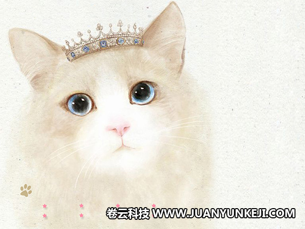 寵物手機APP制作都有哪些專業(yè)技術的要求